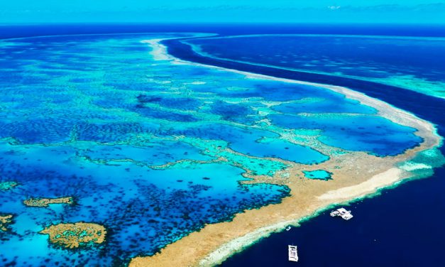 Gran Barrera de Coral, Australia: Tour en 360º