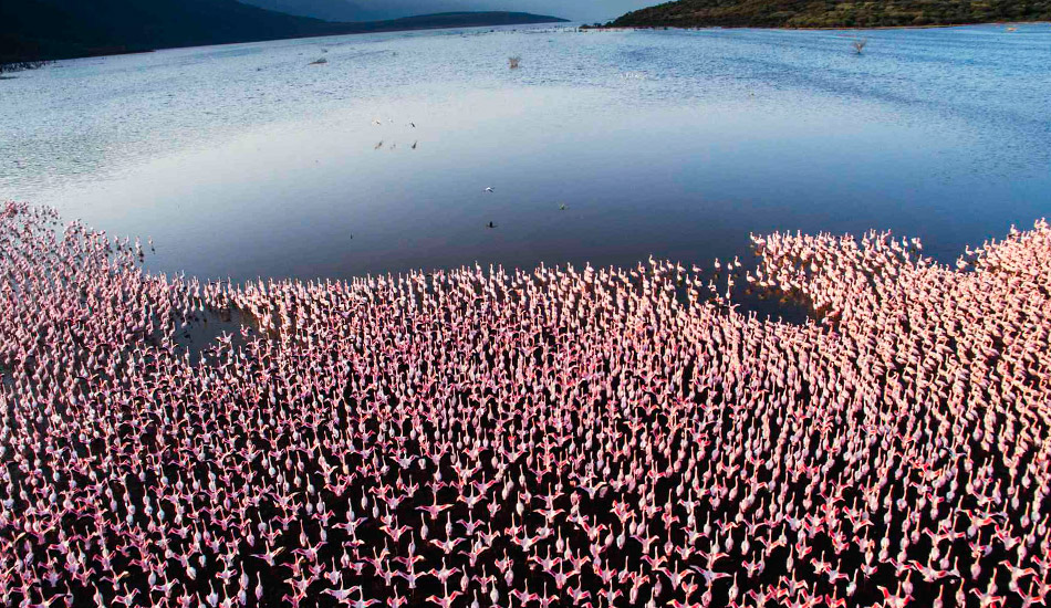 Lago Bogoria, Kenia: Tour en 360º