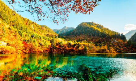 Parque Nacional Jiuzhaigou, China: Tour en 360°