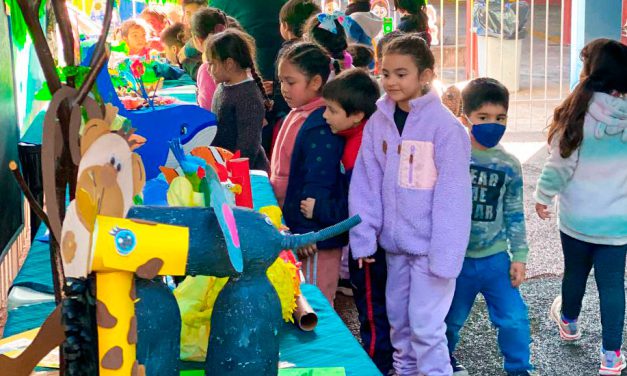 Objetos reciclados para cuidar el Medio Ambiente